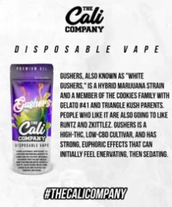 GUSHERS DISPOSABLE VAPE
